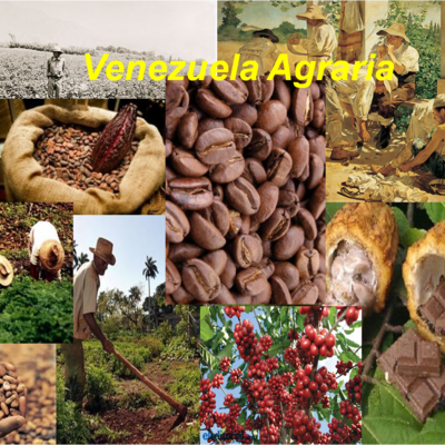 Timeline: Historia y evolución del espacio agrario de Venezuela