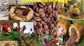 Timeline: Historia y evolución del espacio agrario de Venezuela