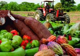 Porcentajes importantes