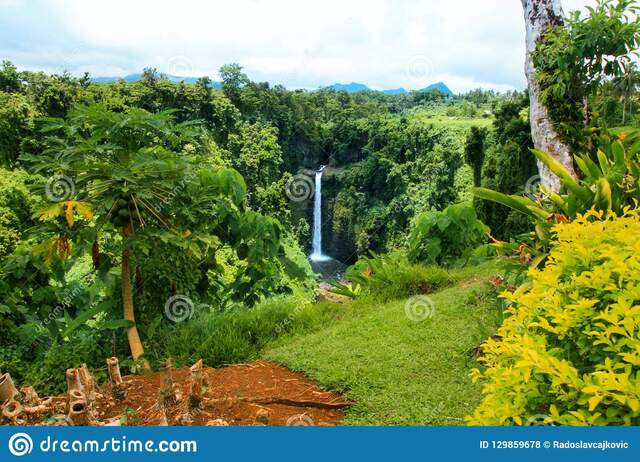 Dia 3 de la creación