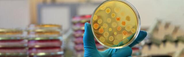 ultimos descubrimientos a la microbiologia