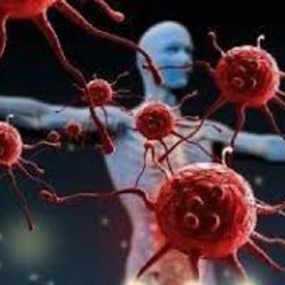 Timeline: Historia de la inmunologia