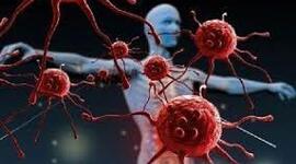 Timeline: Historia de la inmunologia