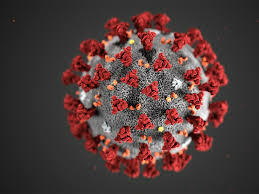 Coronavirus