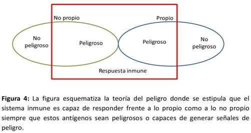 Teoria del peligro
