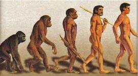 Timeline: La evolución humana