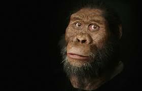 Australopithecus