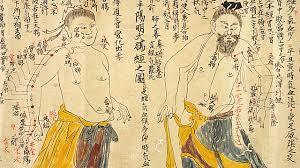 MEDICINA NATURAL CHINA