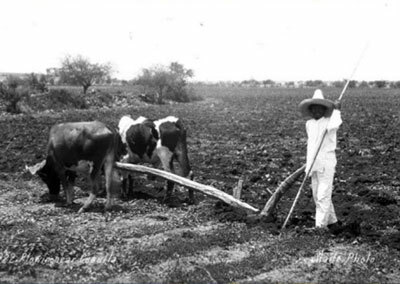 Se dicta una ley que favorece el reparto de tierras