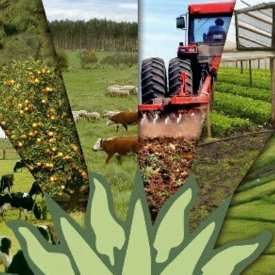 Timeline: Actividades Agropecuarias en Venezuela