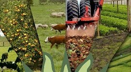 Timeline: Actividades Agropecuarias en Venezuela