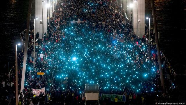 Protección a la integridad y neutralidad de la red