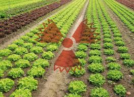 Aplicaciones desde 1895 hasta nuestros días de la radiación ionizante (evento 4)