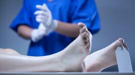 Timeline: Historia de la Medicina Forense