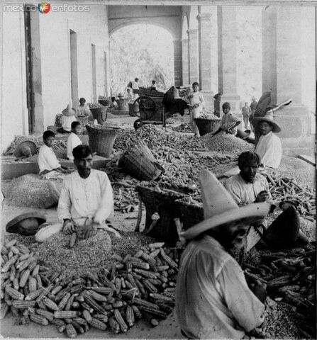 Producción para la exportación.