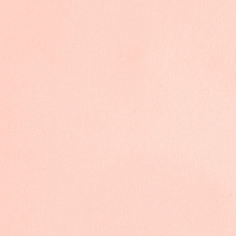 I went to the amusement park