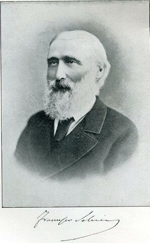 Francesco Selmi-Edad contemporánea