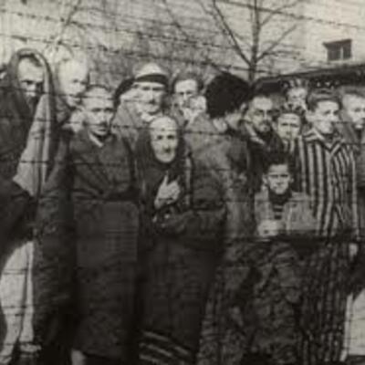 Timeline: The Holocaust