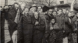 Timeline: Holocaust Timeline