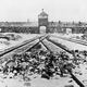 Auschwitz