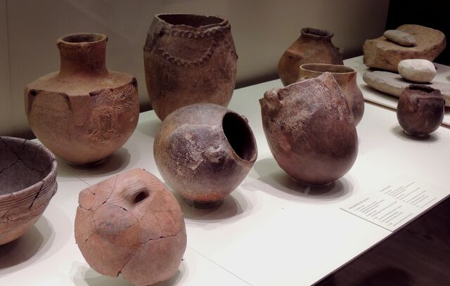 Utilización del fuego