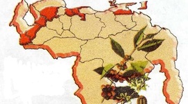 Timeline: Actividades agropecuarias en Venezuela