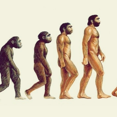 Timeline: La evolución humana