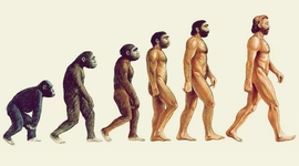 Timeline: La evolución humana