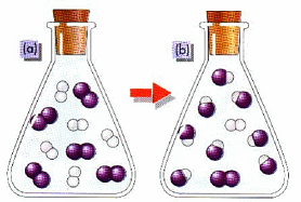 El Equilibrio Químico