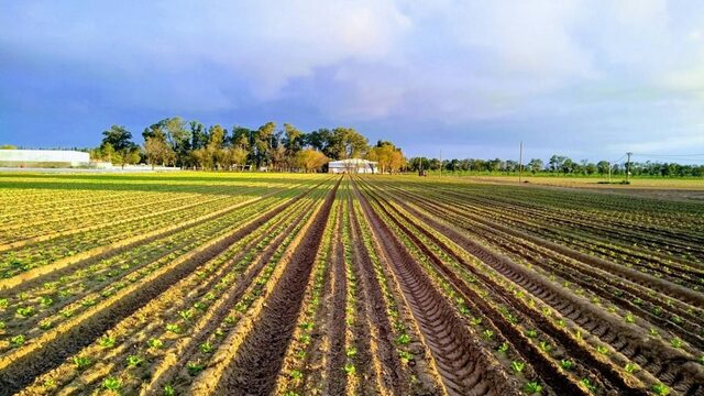Ley de Tierras y desarrollo Agrario