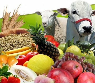 Situación actual Agropecuaria en Venezuela