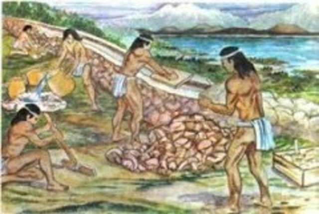 Las primeras enfermedades infecciosas de plantas - "samana" y "mehru a. C.