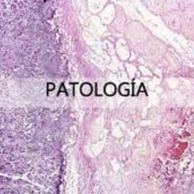 Timeline: HISTORIA DE LA PATOLOGIA