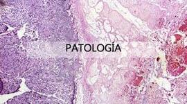 Timeline: HISTORIA DE LA PATOLOGIA