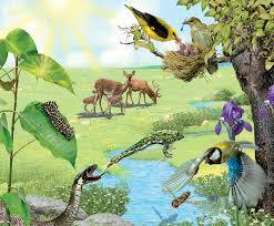 Els fruts del viatge