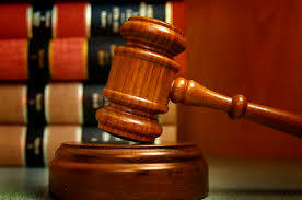 EL SERVICIO PROFESIONAL ELECTORAL NACIONAL (SPEN)