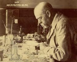 Robert  formula el marco operacional y experimental - los llamados postulados de Koch -