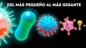 se acoge el término "microbio" propuesto para abandonar las confusas expresiones "venenos mórbidos", "fermentos", "pequeñas granulaciones" o "partículas invisibles”, y la infección deja de relacionarse con polución para asociarse con invasión de microbios