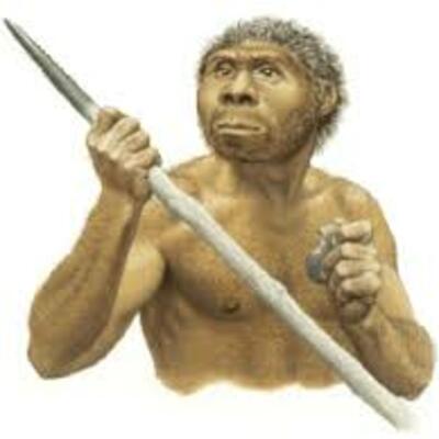Timeline: Primeros pobladores    (2,5 millones de años A.C-  120.000A.C) en esta epoca que aparecen los primeros grupos humanos,con el Australopithecus y homo habilis aparecen junto al homo habilis las primeras estructuras habitables, compuestas por unas piedras