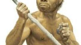 Timeline: Primeros pobladores    (2,5 millones de años A.C-  120.000A.C) en esta epoca que aparecen los primeros grupos humanos,con el Australopithecus y homo habilis aparecen junto al homo habilis las primeras estructuras habitables, compuestas por unas piedras