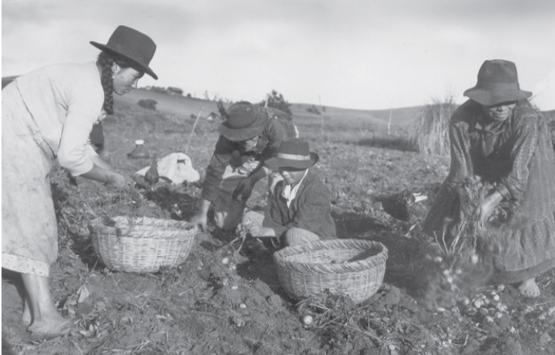Antecedentes y emergencia del trabajo social de grupo