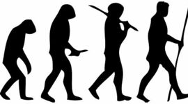 Timeline: La evolución: Por Osmar Ciau