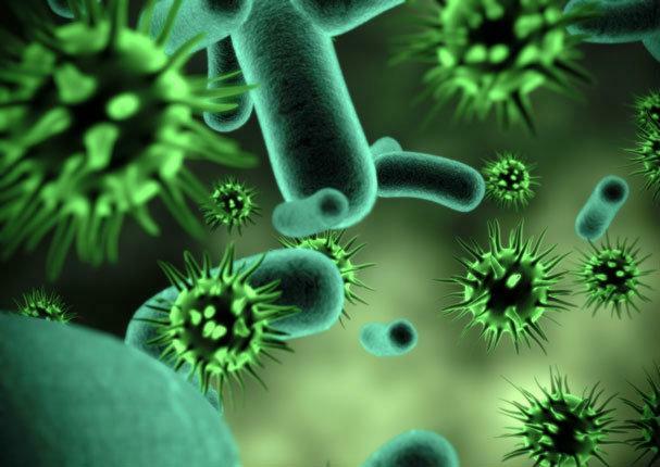 Inicio de la infección