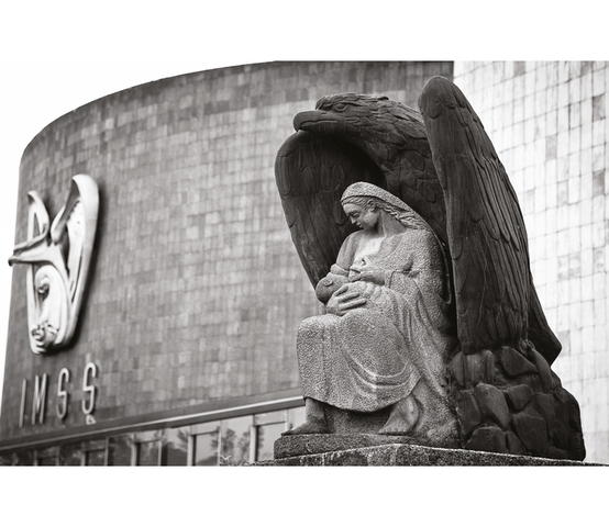 Instituto Mexicano del Seguro Social