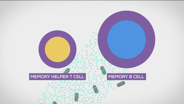 Eliminación de la amenza