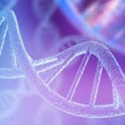 Timeline: Retos Bioéticos