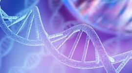 Timeline: Retos Bioéticos