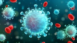 Timeline: Desarrollo de la respuesta inmunitaria