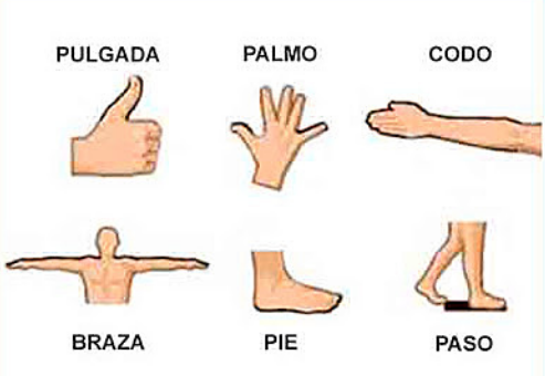 Unidades antropomórficas