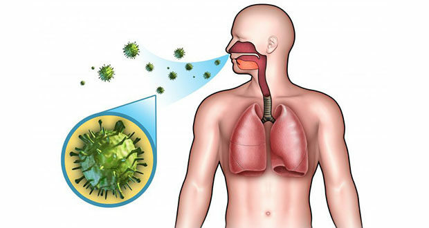 Principales causas de Muerte en México